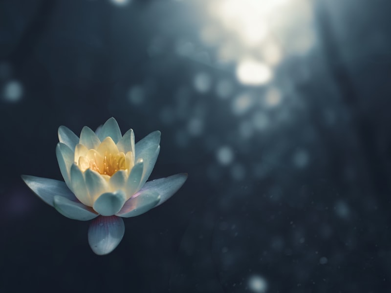 meditation for beginners