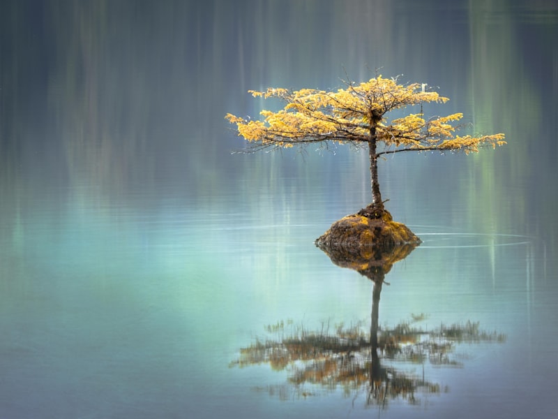 sound baths and the nervous system